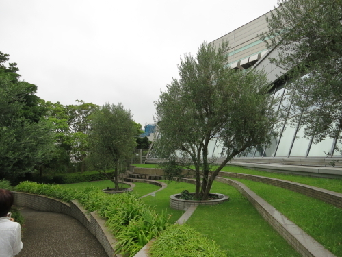 DPP0168.JPG