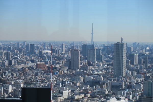 DPP0510 - コピー.JPG